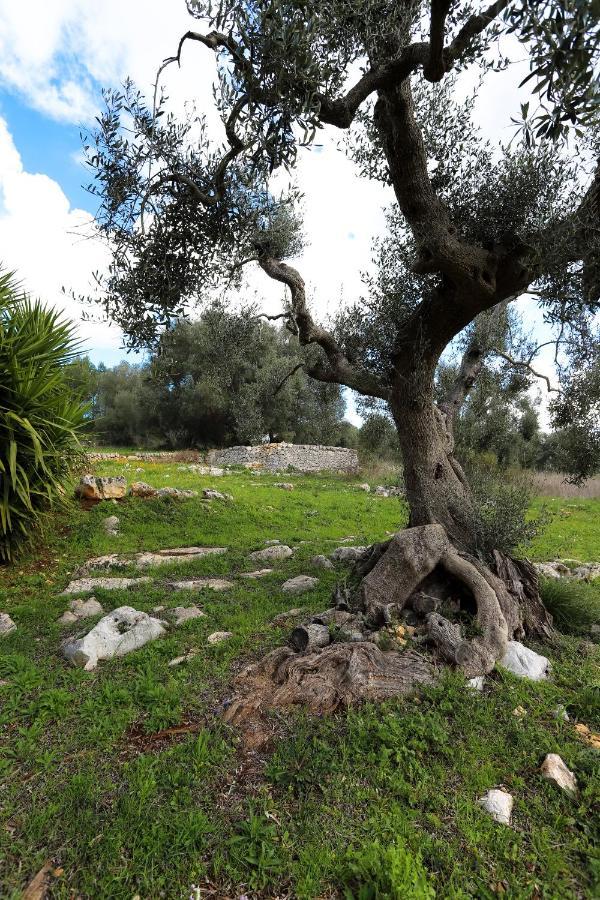 Casina Fumarola Hostal Ostuni Exterior foto